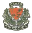 Spruce Creek High School