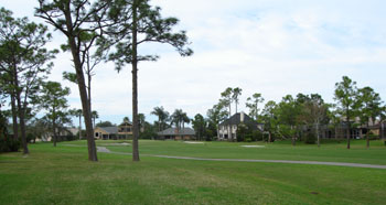 Spruce Creek Golf Homes
